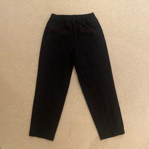Aritzia Babaton trousers